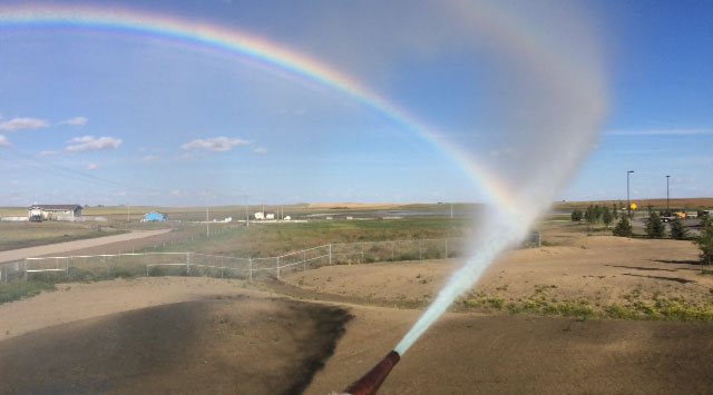 Seed Establishment & Maintenance