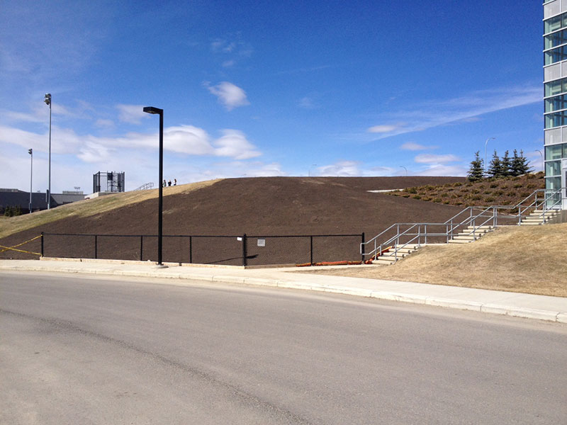 Top Soil & Finish Grading